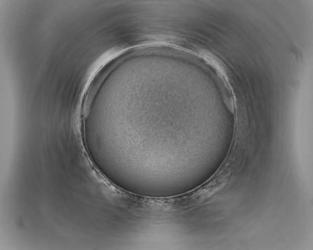 X0000115761104200911131150