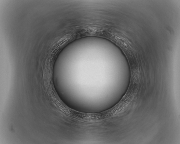 X0000115761105200911131150
