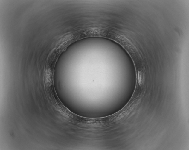 X0000115761107200911131150