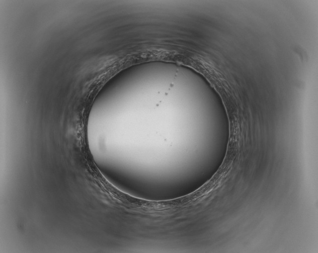 X0000115761109200911131150
