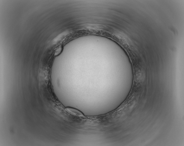 X0000115761110200911131150