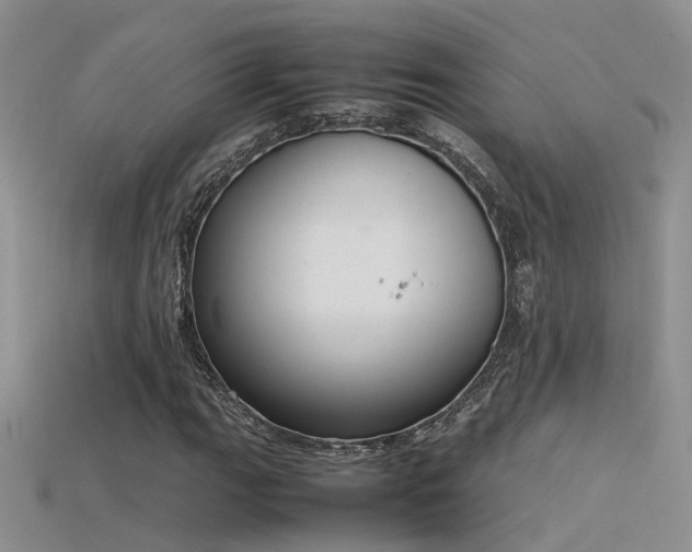 X0000115761111200911131150