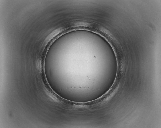 X0000115761113200911131150