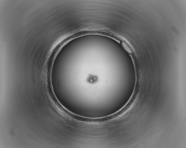 X0000115761114200911131150