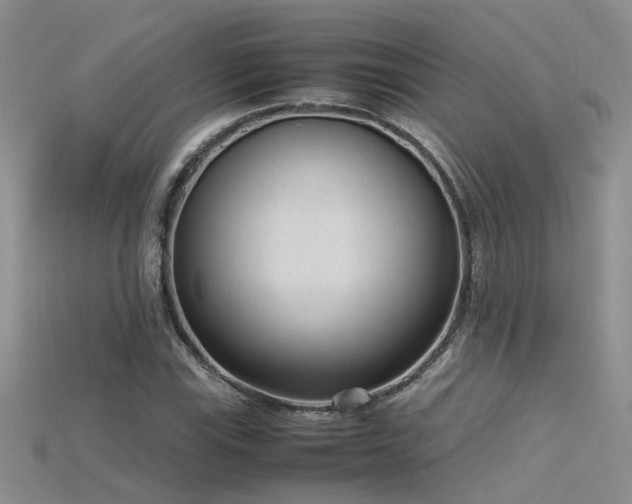 X0000115761115200911131150
