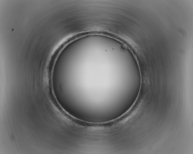 X0000115761118200911131150