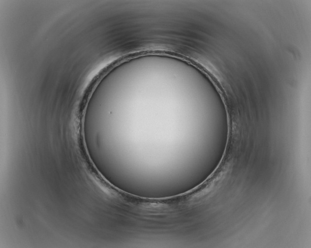 X0000115761119200911131150