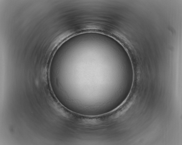 X0000115761121200911131150