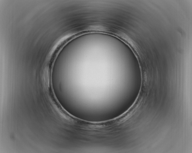 X0000115761123200911131150