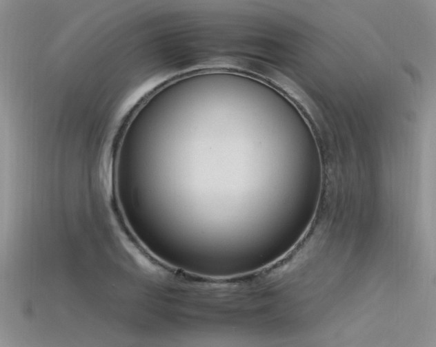 X0000115761127200911131150