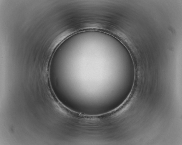 X0000115761129200911131150