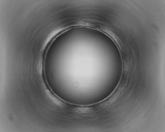X0000115761131200911131150