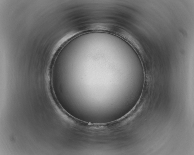 X0000115761133200911131150