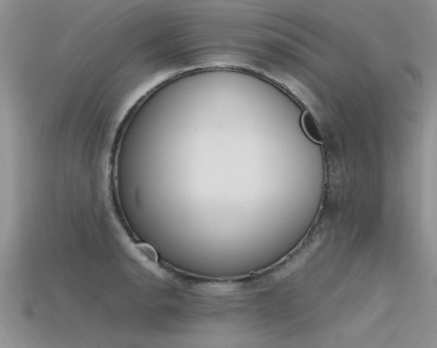 X0000115761134200911131150