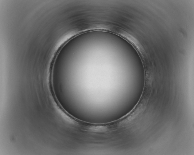X0000115761135200911131150