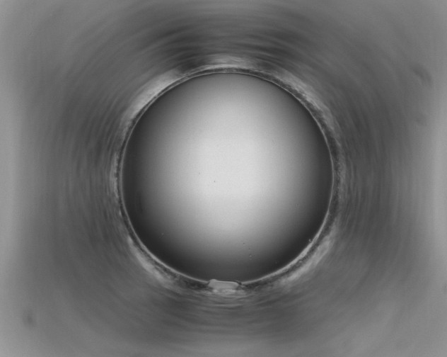 X0000115761137200911131150