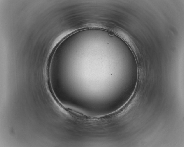 X0000115761141200911131150