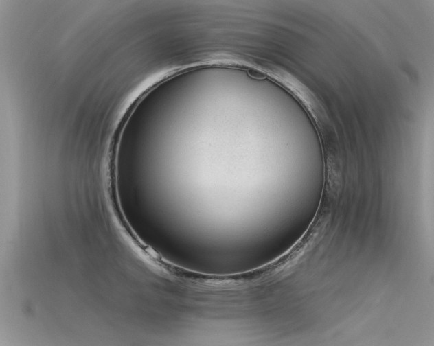X0000115761142200911131150