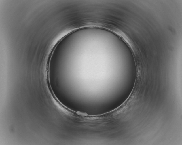 X0000115761143200911131150