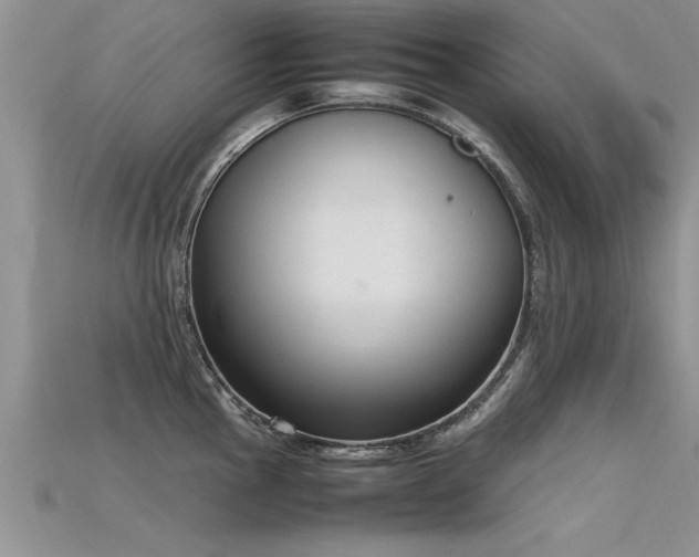 X0000115761145200911131150