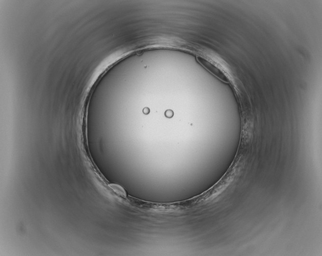 X0000115761146200911131150