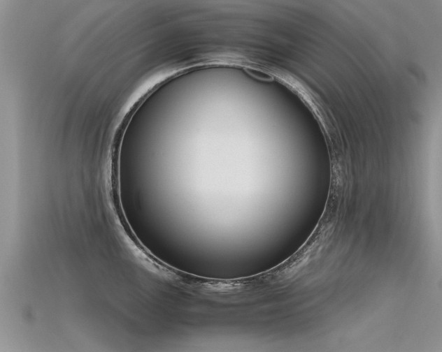 X0000115761147200911131150