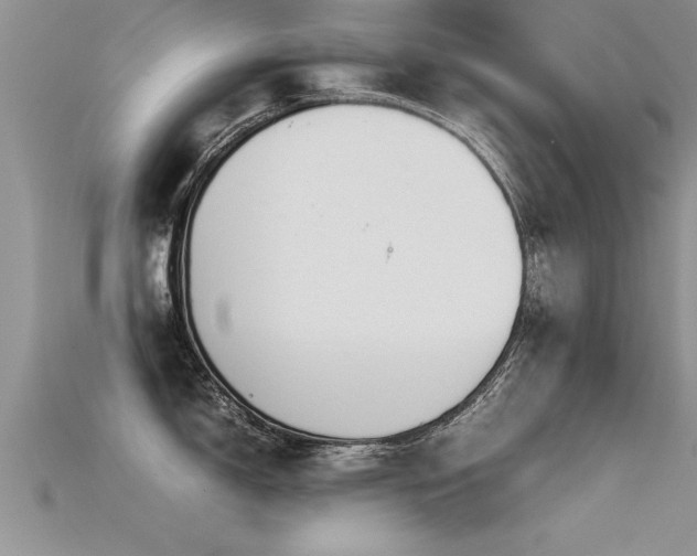 X0000115761150200911131150