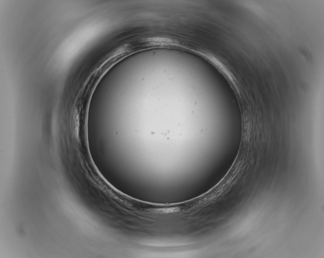 X0000115761151200911131150