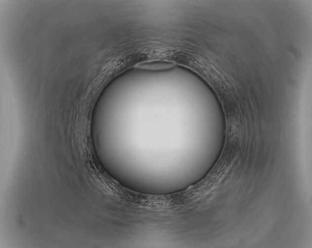 X0000115761153200911131150