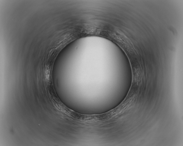 X0000115761154200911131150