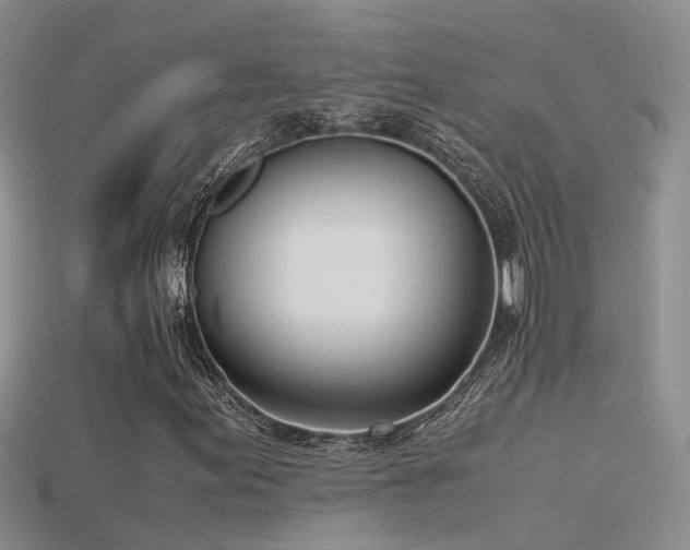 X0000115761155200911131150