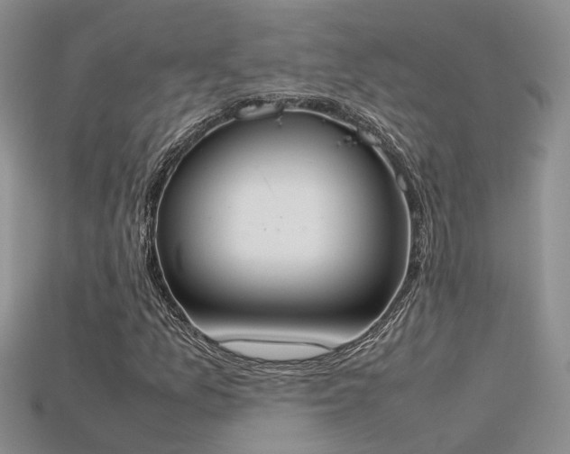 X0000115761157200911131150