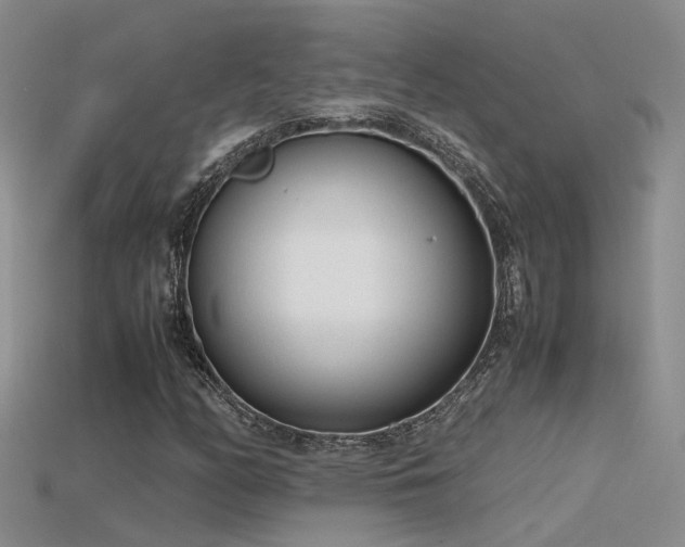 X0000115761158200911131150