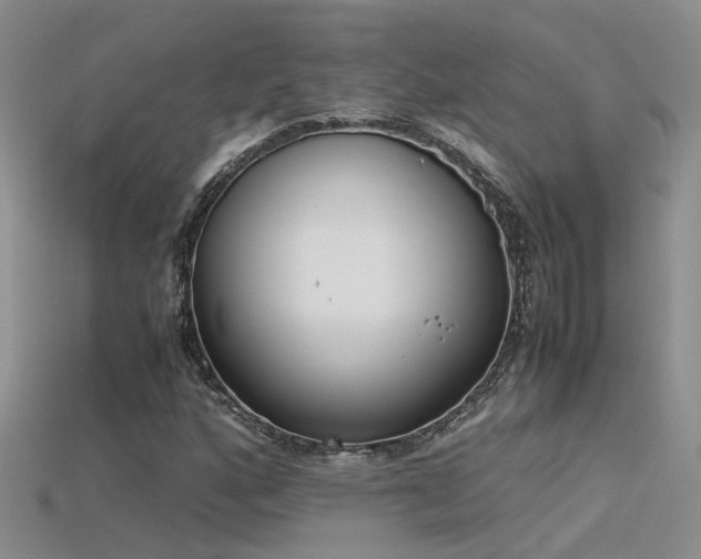 X0000115761160200911131150