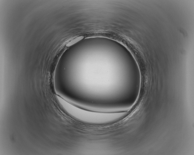 X0000115761161200911131150