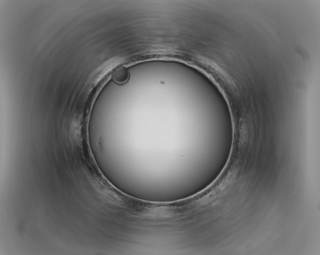 X0000115761162200911131150