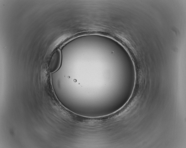 X0000115761163200911131150