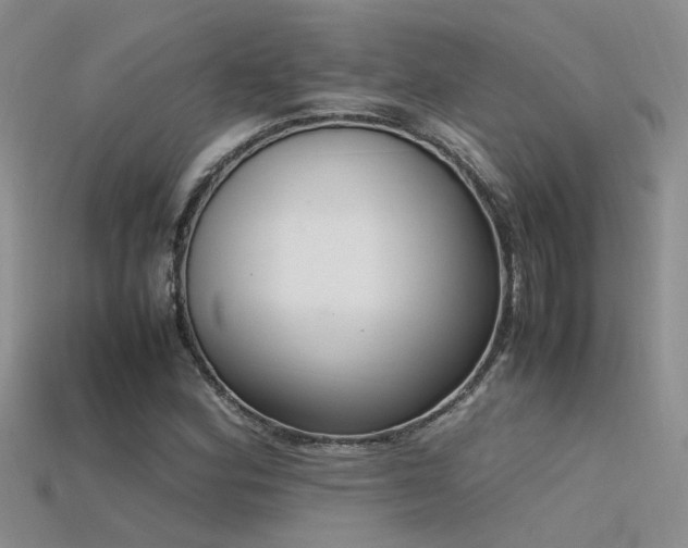 X0000115761164200911131150