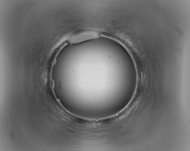 X0000115761165200911131150