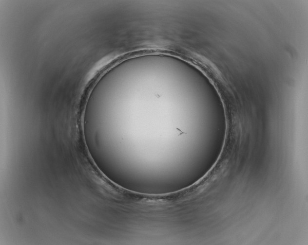 X0000115761168200911131150