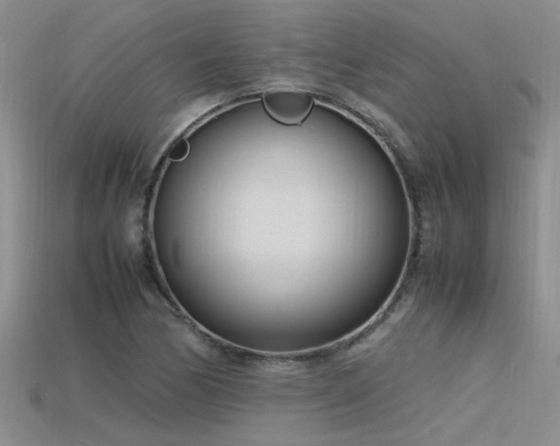 X0000115761170200911131149