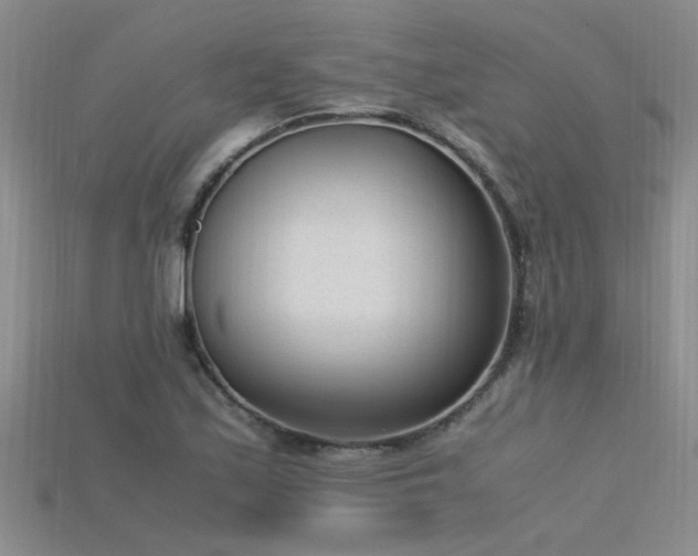 X0000115761171200911131149