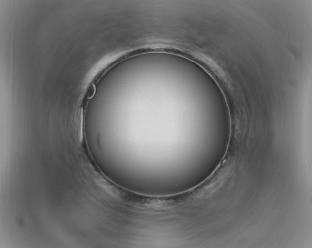 X0000115761175200911131149