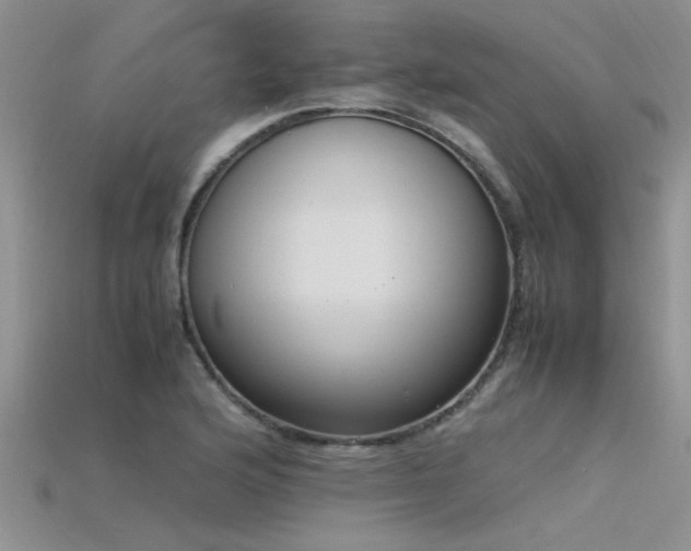 X0000115761176200911131149