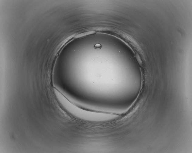 X0000115761177200911131149