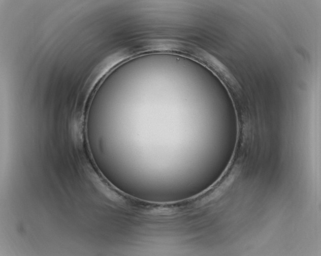 X0000115761178200911131149