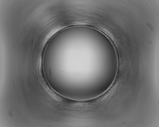 X0000115761179200911131149