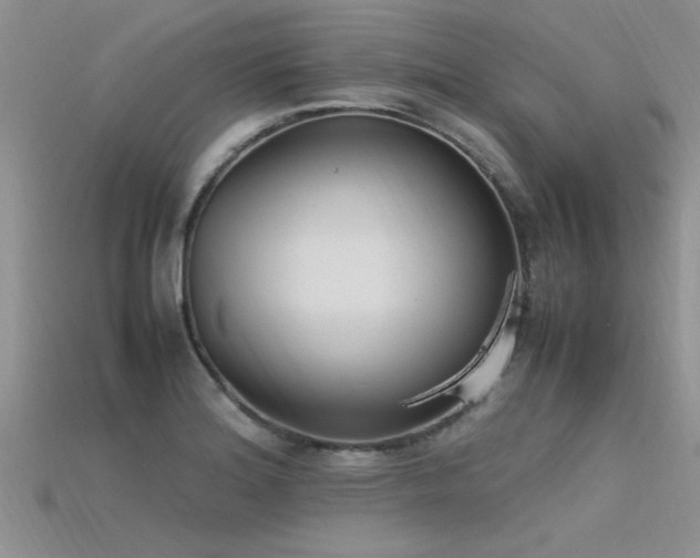 X0000115761180200911131149