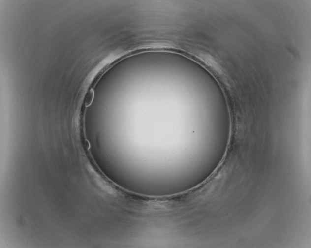 X0000115761181200911131149