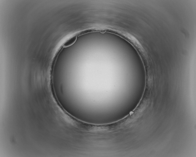 X0000115761183200911131149